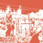 Viticulture en coteaux du Gier