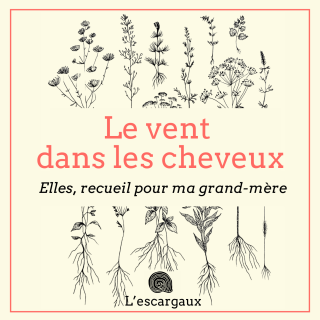 Le vent dans les cheveux