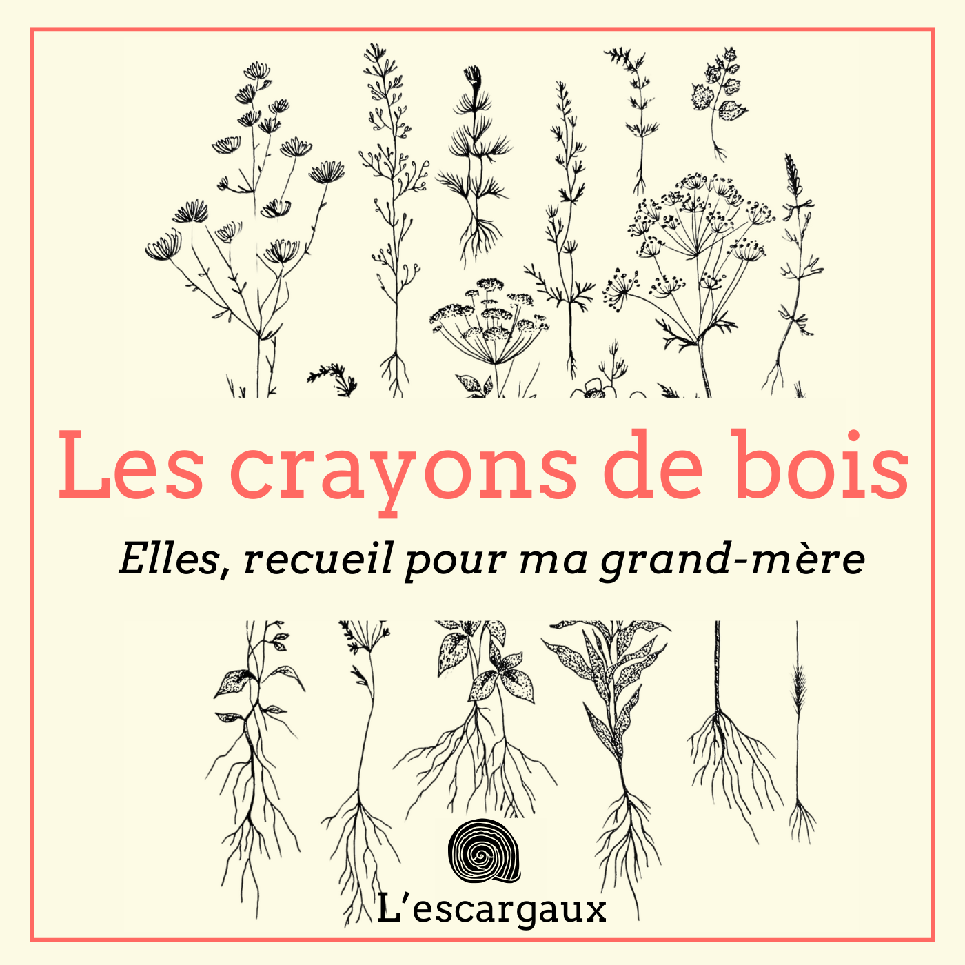 Les crayons de bois