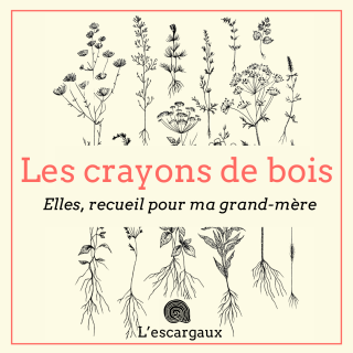 Les crayons de bois