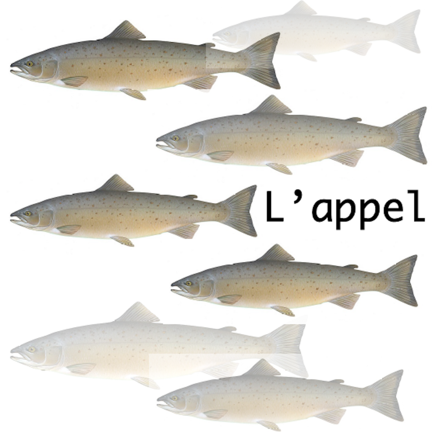 L'appel – épisode 2