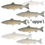 L'appel - épisode 3