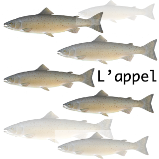 L'appel - épisode 4 